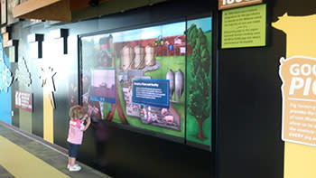 Interactive screens at Fair Oaks Interactive screens at Fair Oaks