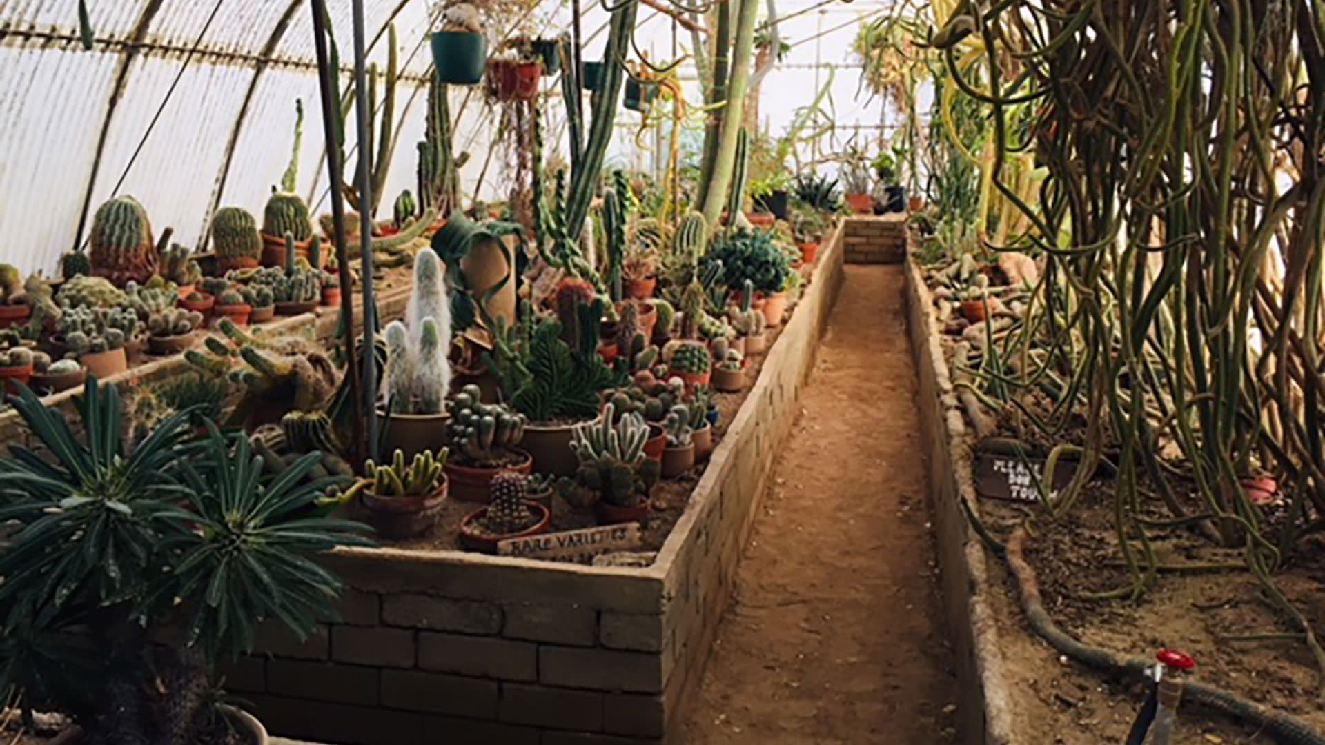 moortens botanical garden