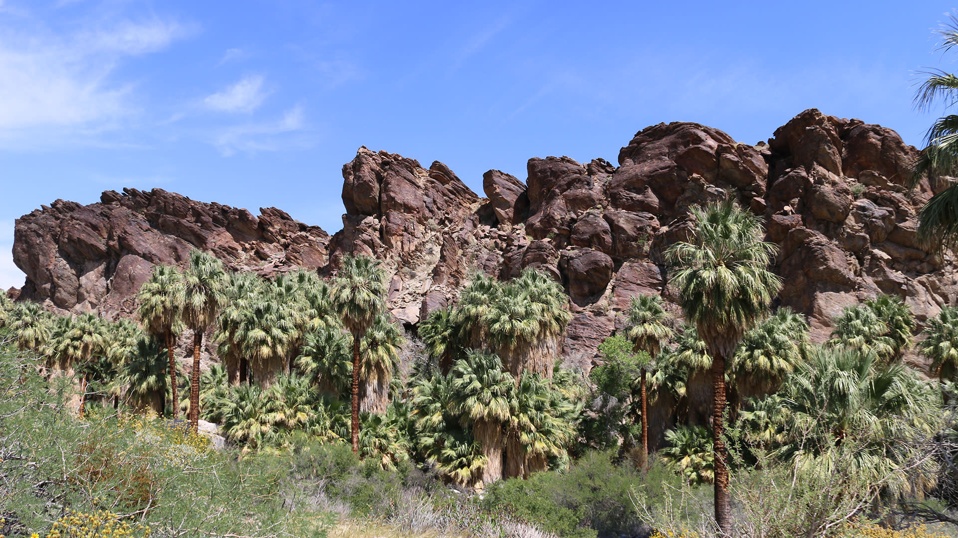 indian canyons palm springs
