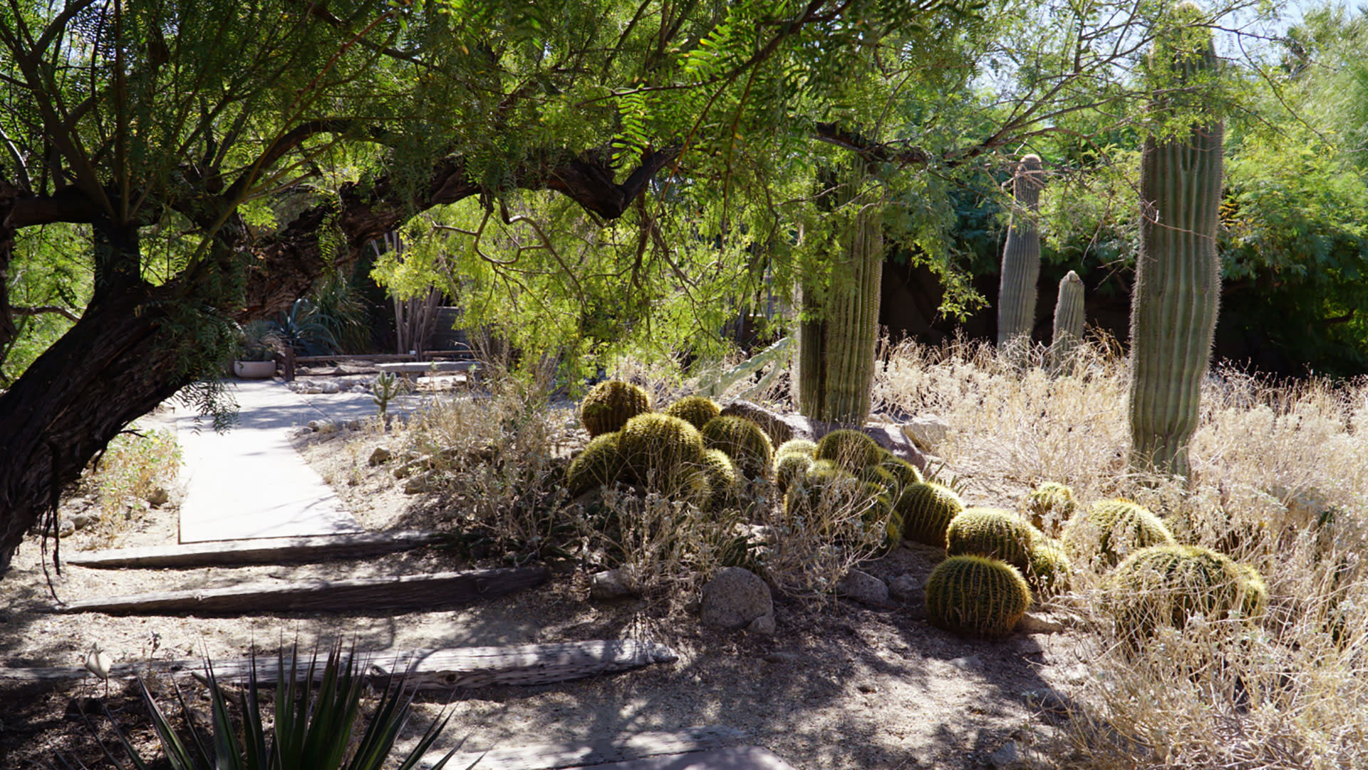 the living desert palm desert