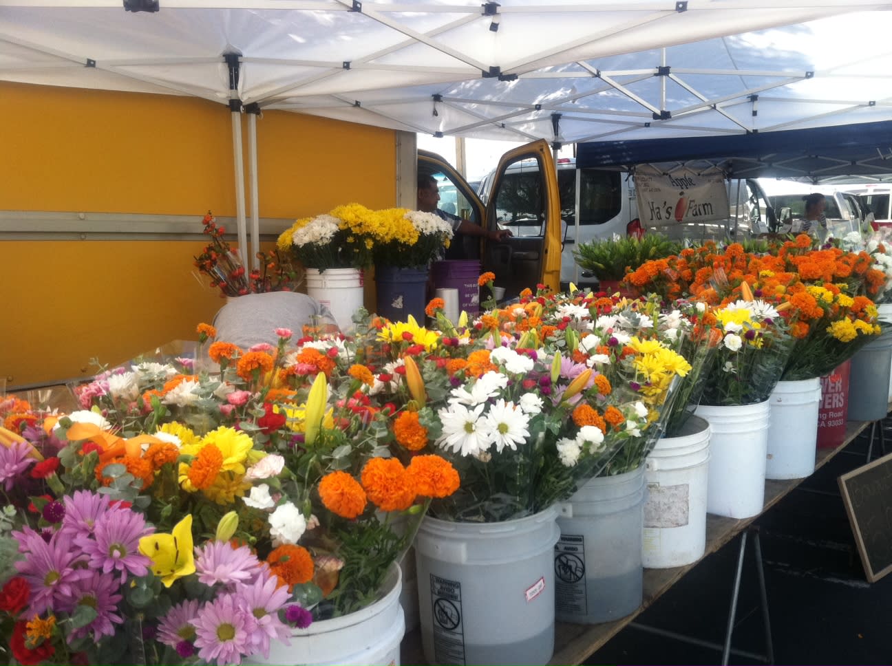 fresh flowers on display at the Certified Farmers Market in Greater Palm Springs