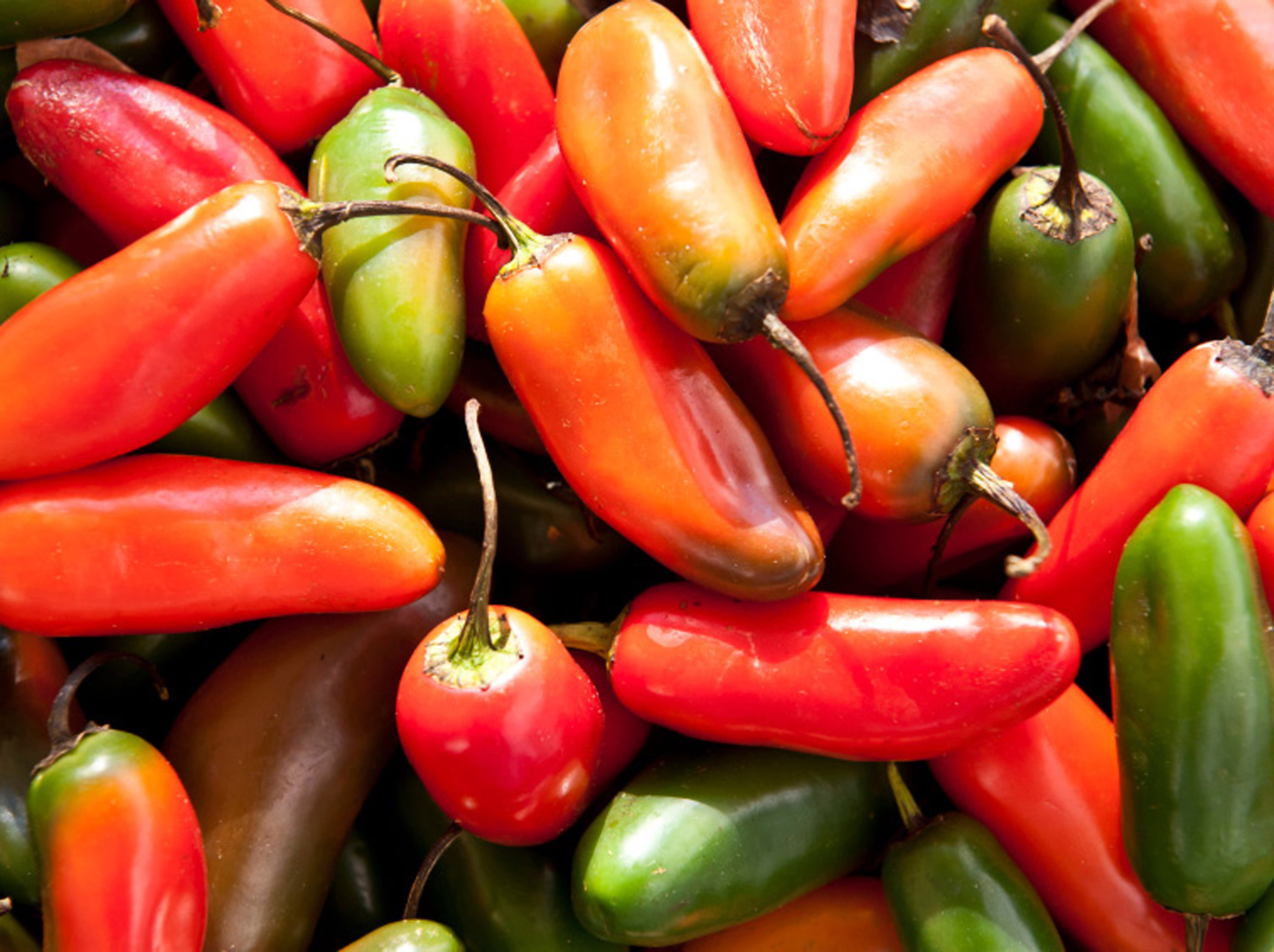 fresh produce at the Certified Farmers Market in Greater Palm Springs