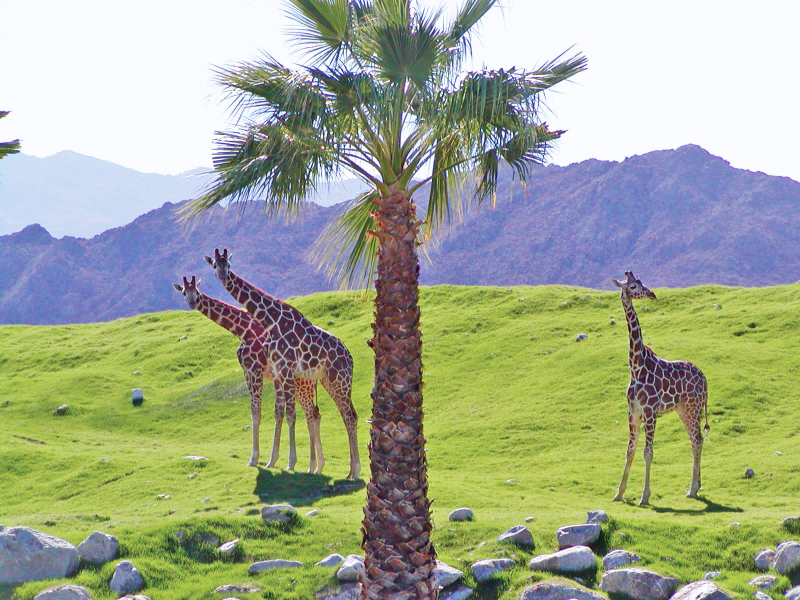 3 Days in Palm Desert - A Greater Palm Springs Itinerary