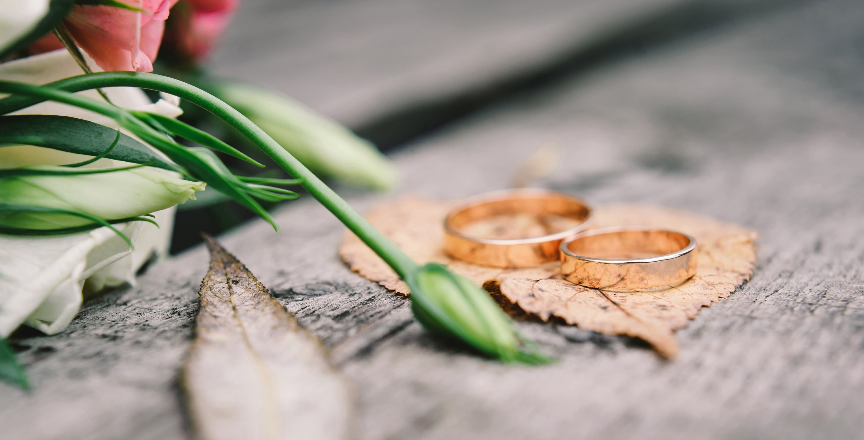 Outdoor Chesapeake Weddings Blog - Chesapeake Weddings
