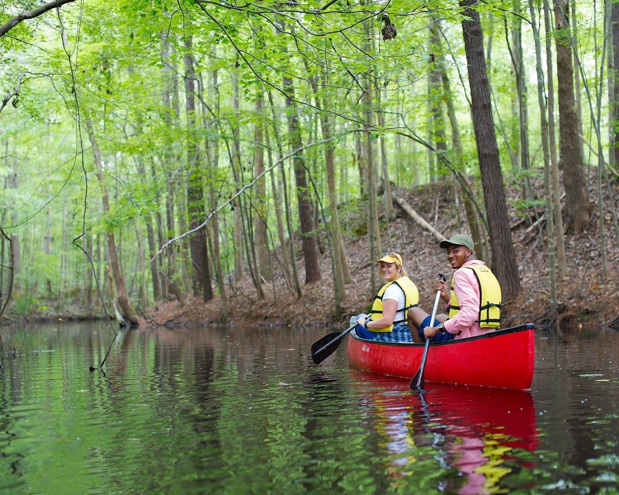 Water Sports in Chesapeake Blog - Water Sports
