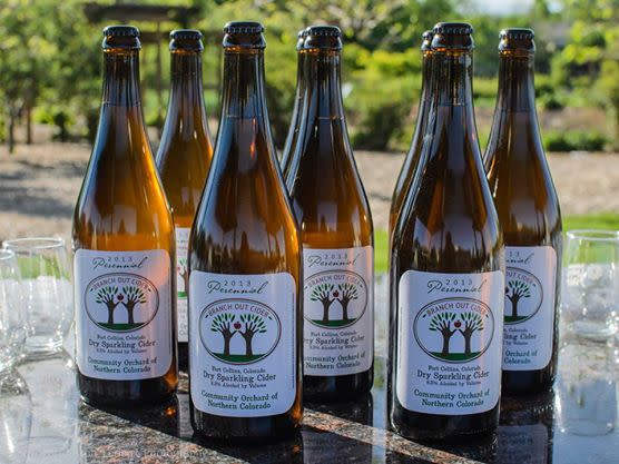branch-out-cider
