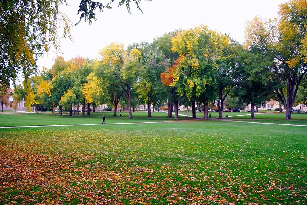 CSU-oval---Fall