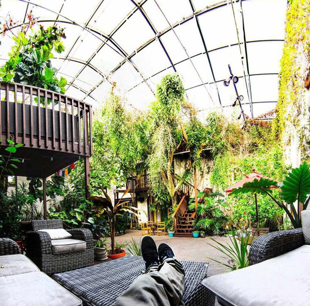 Solarium International Hostel Atrium Relaxing