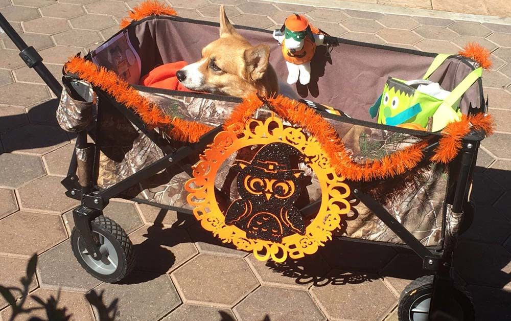 tour de corgi