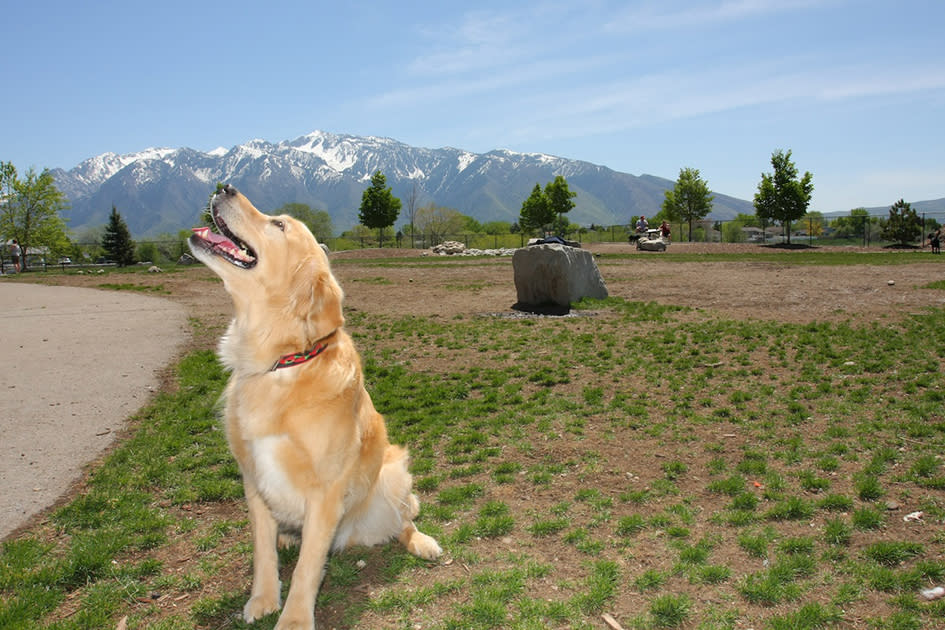 Sunny Dog Park in Salt Lake's Sandy Neighborhood