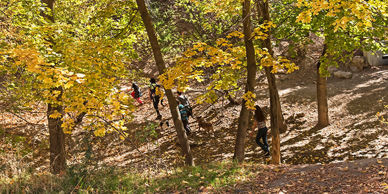 A family enjoying the off-leash section of the dirt Freedrom Trail