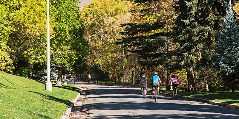 Close enough to downtown to enjoy a ride on your lunch or between classes