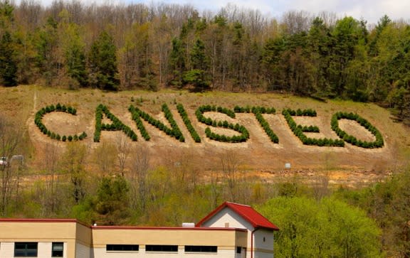 Canisteo Living Sign courtesy of John Babbitt
