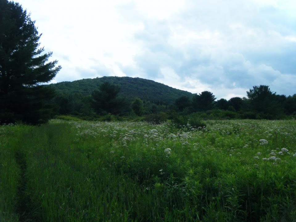 View from the Bristol Hills Trail - Branch Trail of the FLT courtesy of the Botanical Hike