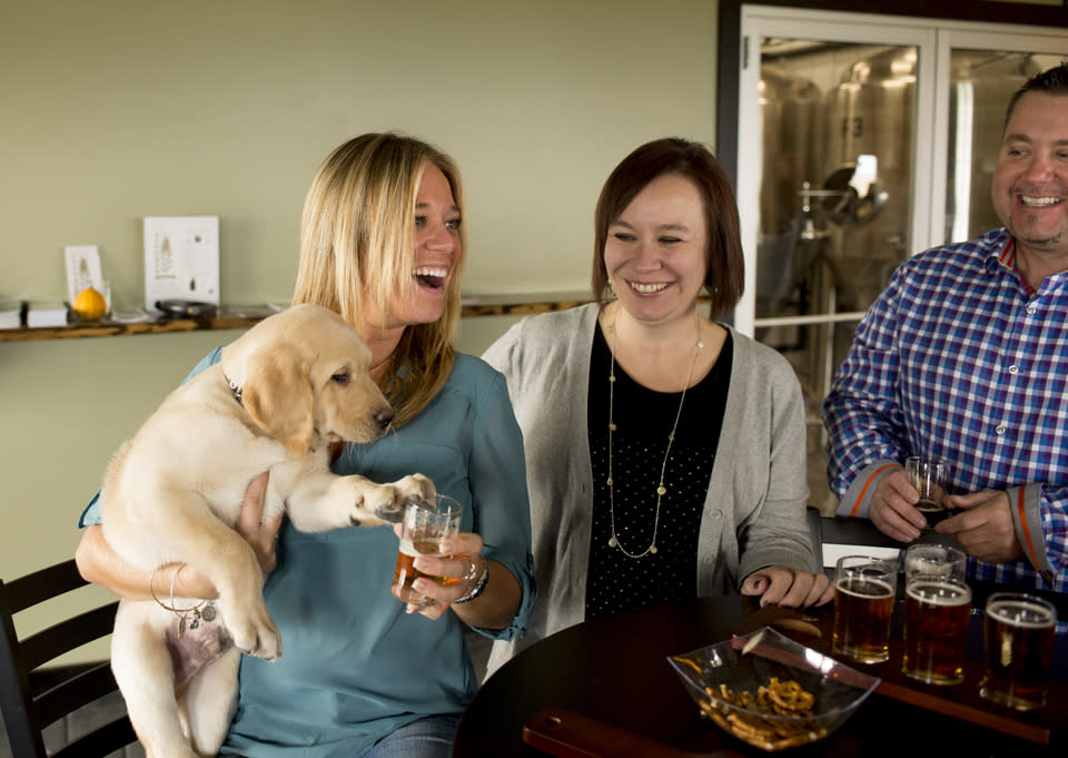 Dog Friendly Steuben Brewing Company courtesy of Stu Gallagher