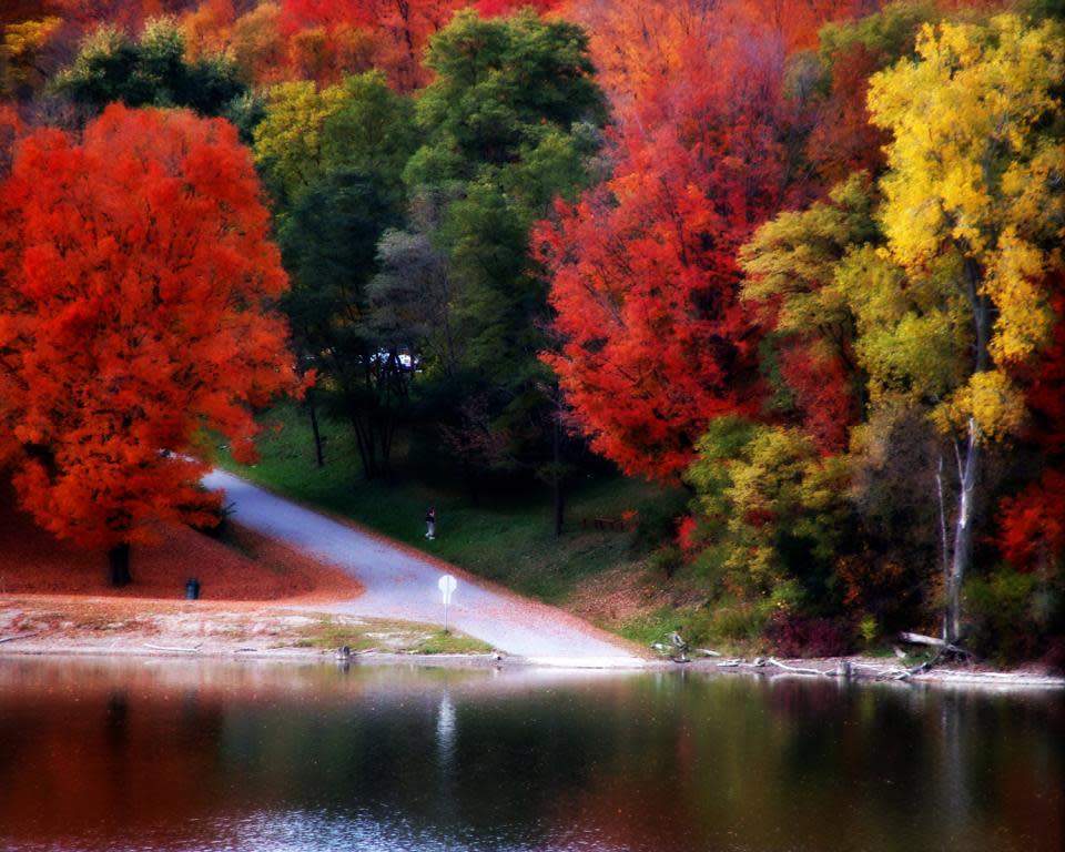 Fall Foliage at Kanakadea Park by Shelly McDaniels