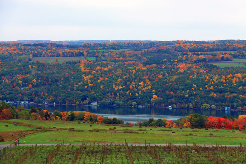 Fall View from Heron Hill Winery by Kathy Wesserling