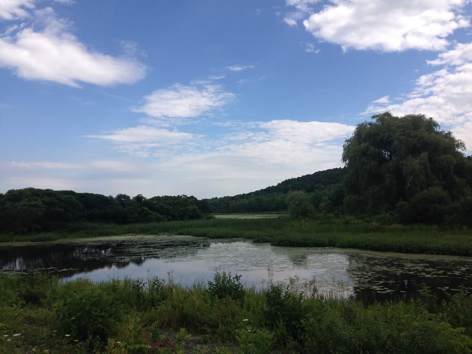 Birdseye Hollow Pond