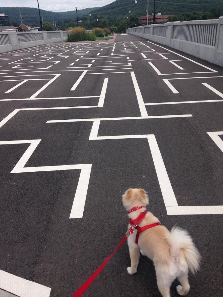 Kosar strategizing his path through the maze on The Centerway