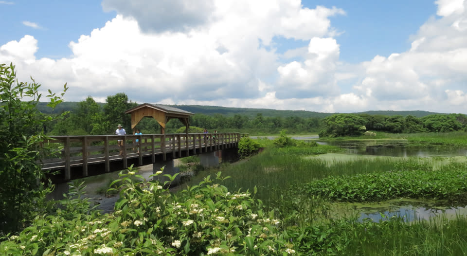 Hike at Birdseye Hollow Park