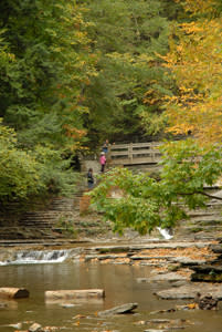 Stony Brook Hike Stony Brook Hike in the Finger Lakes