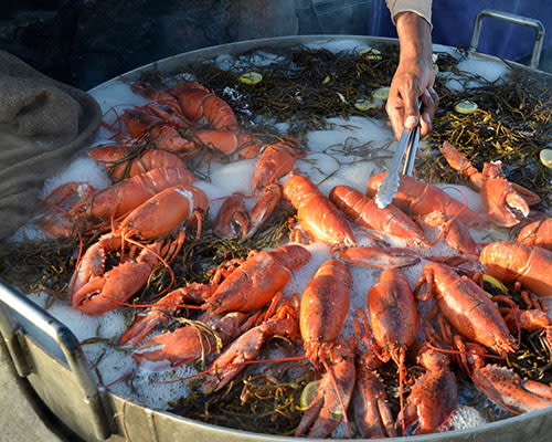 Clambake