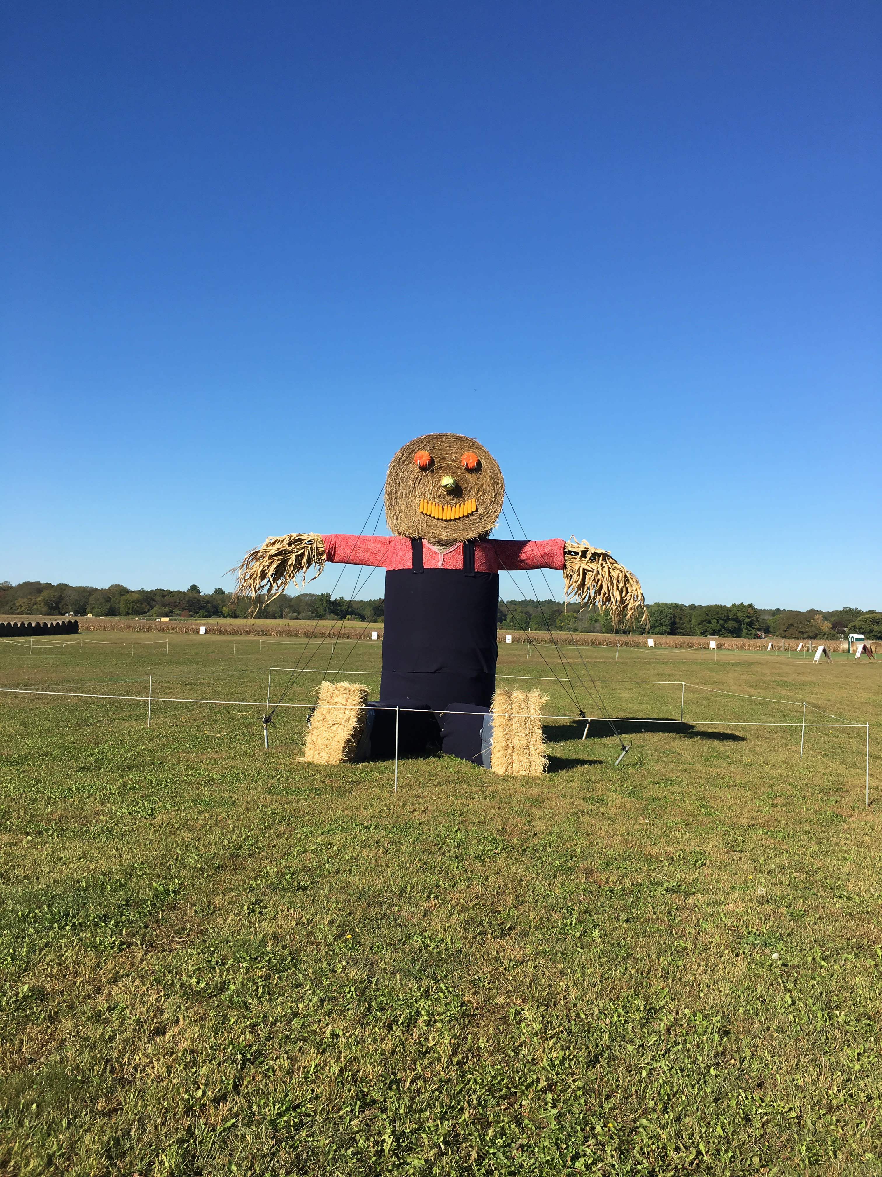 schartner-scarecrow-2016-faye-brown