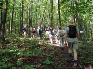 Hiking in Corning & the Finger Lakes Hiking in Corning & the Finger Lakes