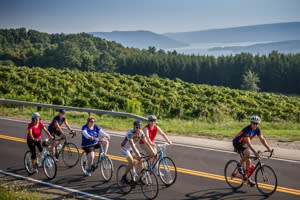 Vistas to Vineyards - Bonnie Gustin Vistas to Vineyards - Bonnie Gustin