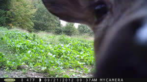 Wildlife Outdoor Enterprises Wildlife Outdoor Enterprises