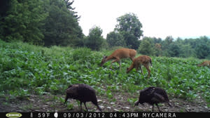 Wildlife Outdoor Enterprises Wildlife Outdoor Enterprises