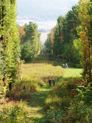 Finger Lakes Trail - photo by Jim Connors