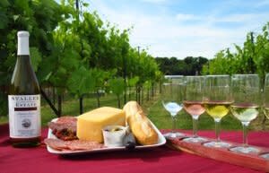 Wine Tasting for Girls' Trip