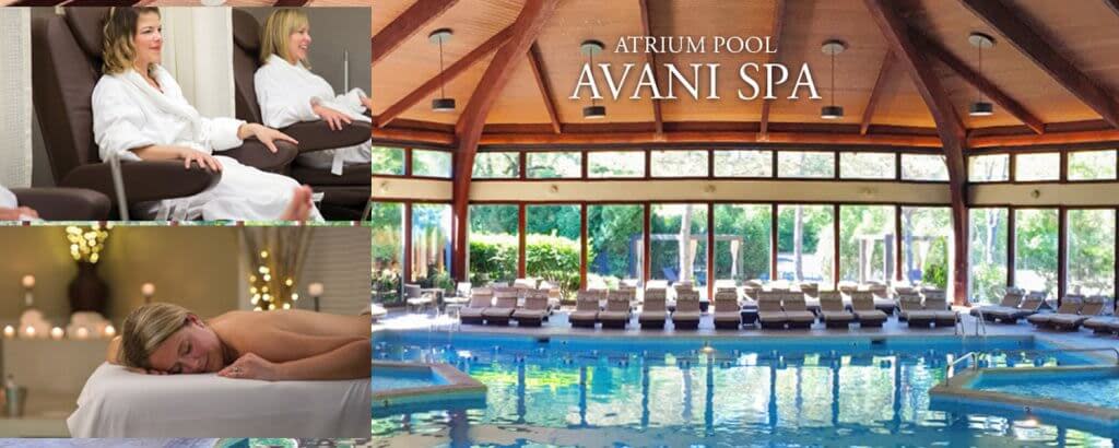 avani4