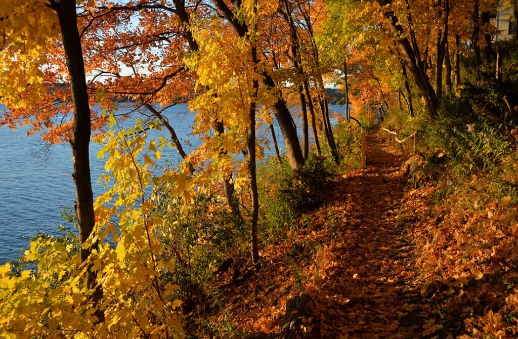 Fall Colors in Lake Geneva