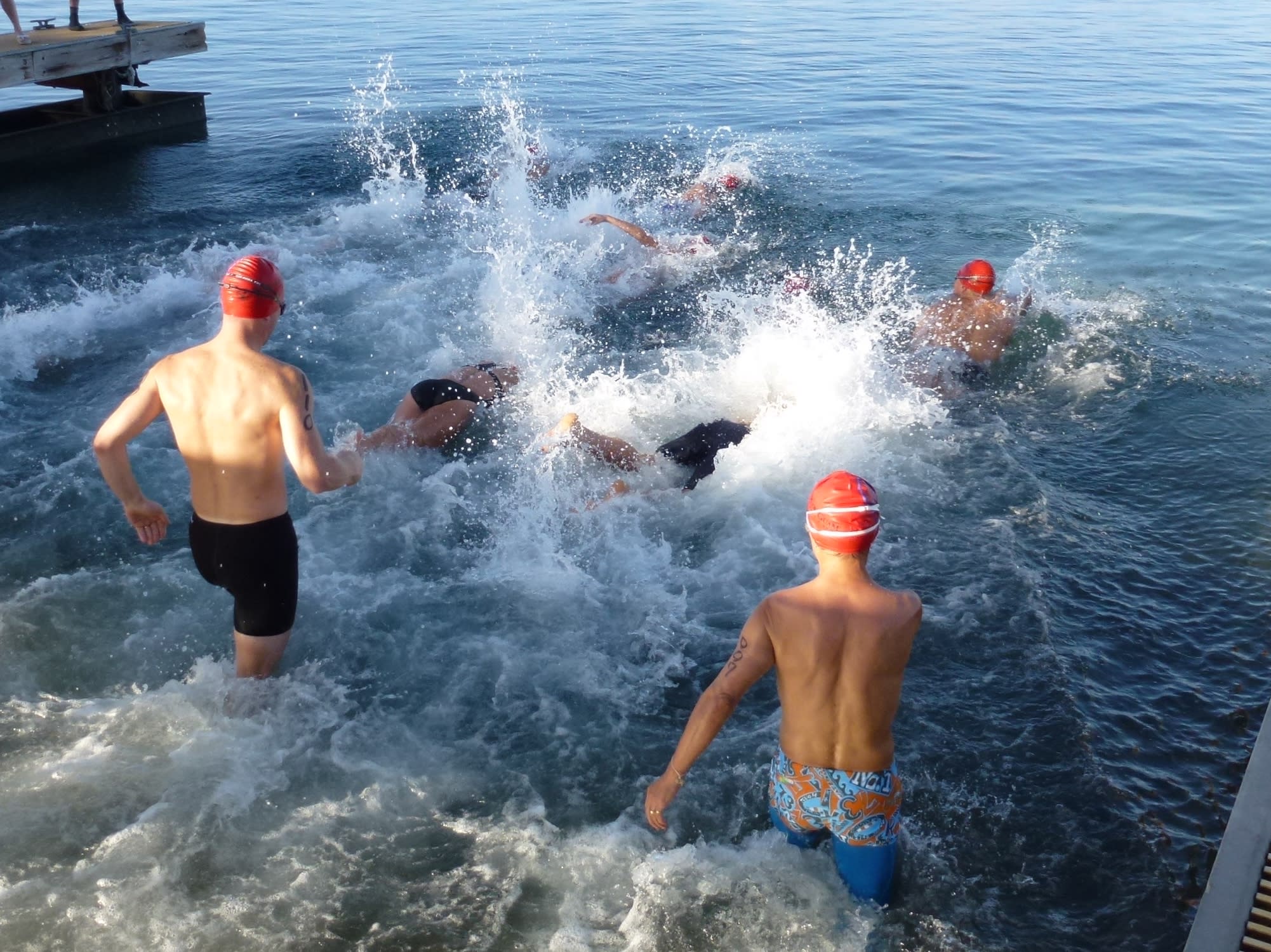 Swimmers enter the water at the start of the race.