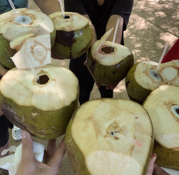 Pass the Coconut