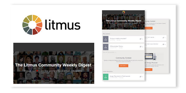 Litmus Email Example