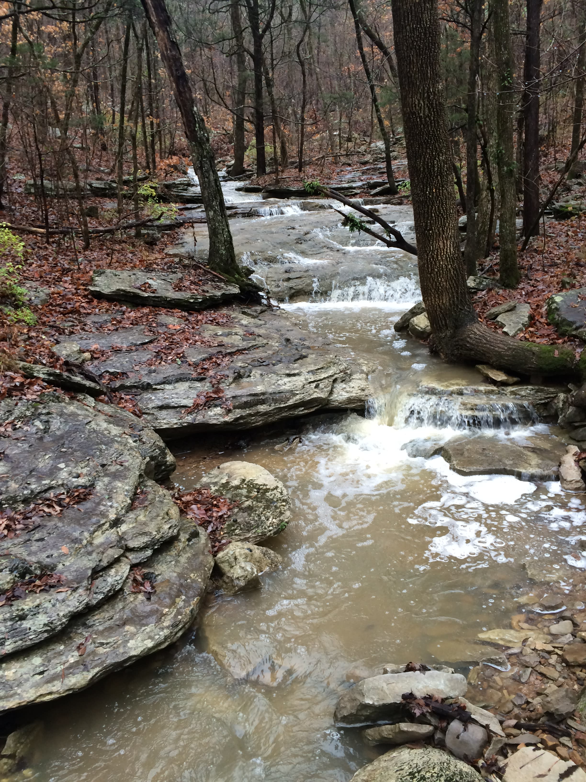 KimHolmes_LTNA_Photo4_CreekCrossing