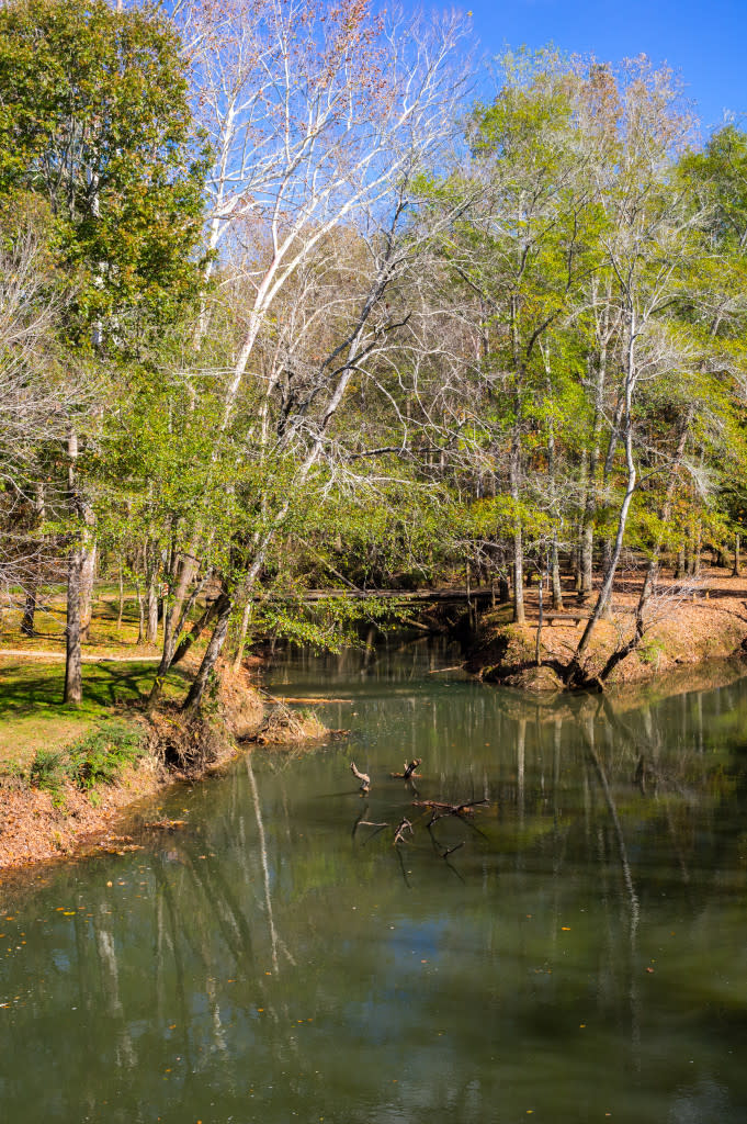 Get your winter hike on at Hays Nature Preserve in Huntsville, Alabama