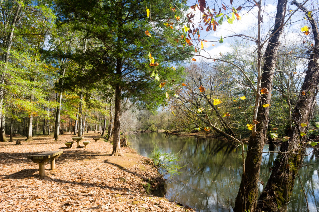 Get your winter hike on at Hays Nature Preserve via iHeartHsv.com