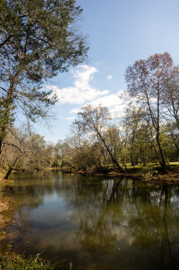 Get your winter hike on at Hays Nature Preserve via iHeartHsv.com