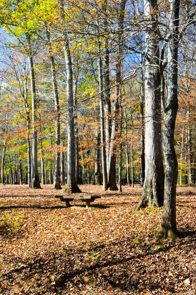 Get your winter hike on at Hays Nature Preserve via iHeartHsv.com