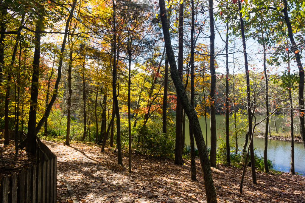 Green Mountain, Madison County Nature Trail-7