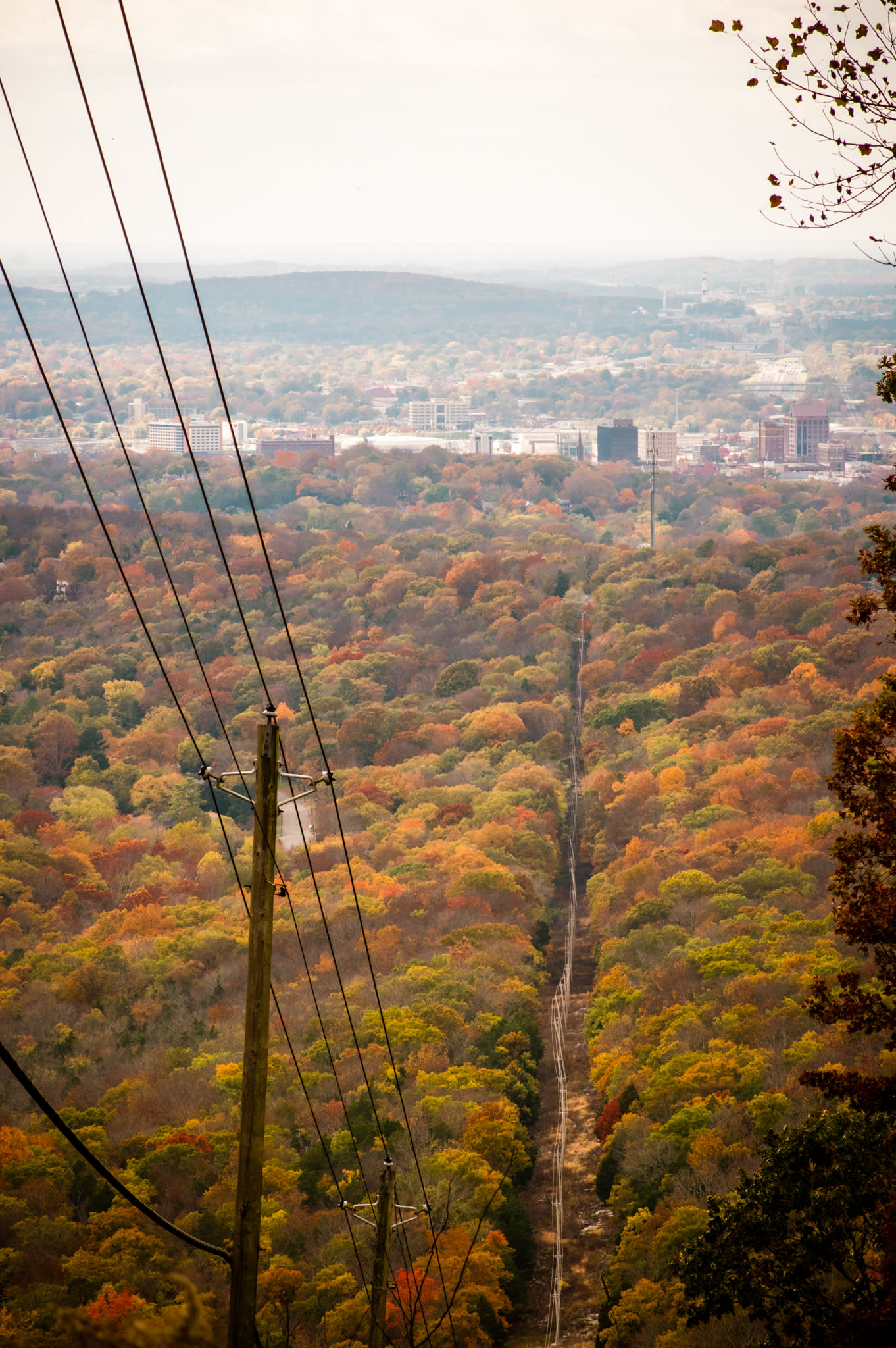 3 Huntsville Outdoor Favorites For Every Type of Nature Lover via iHeartHsv.com