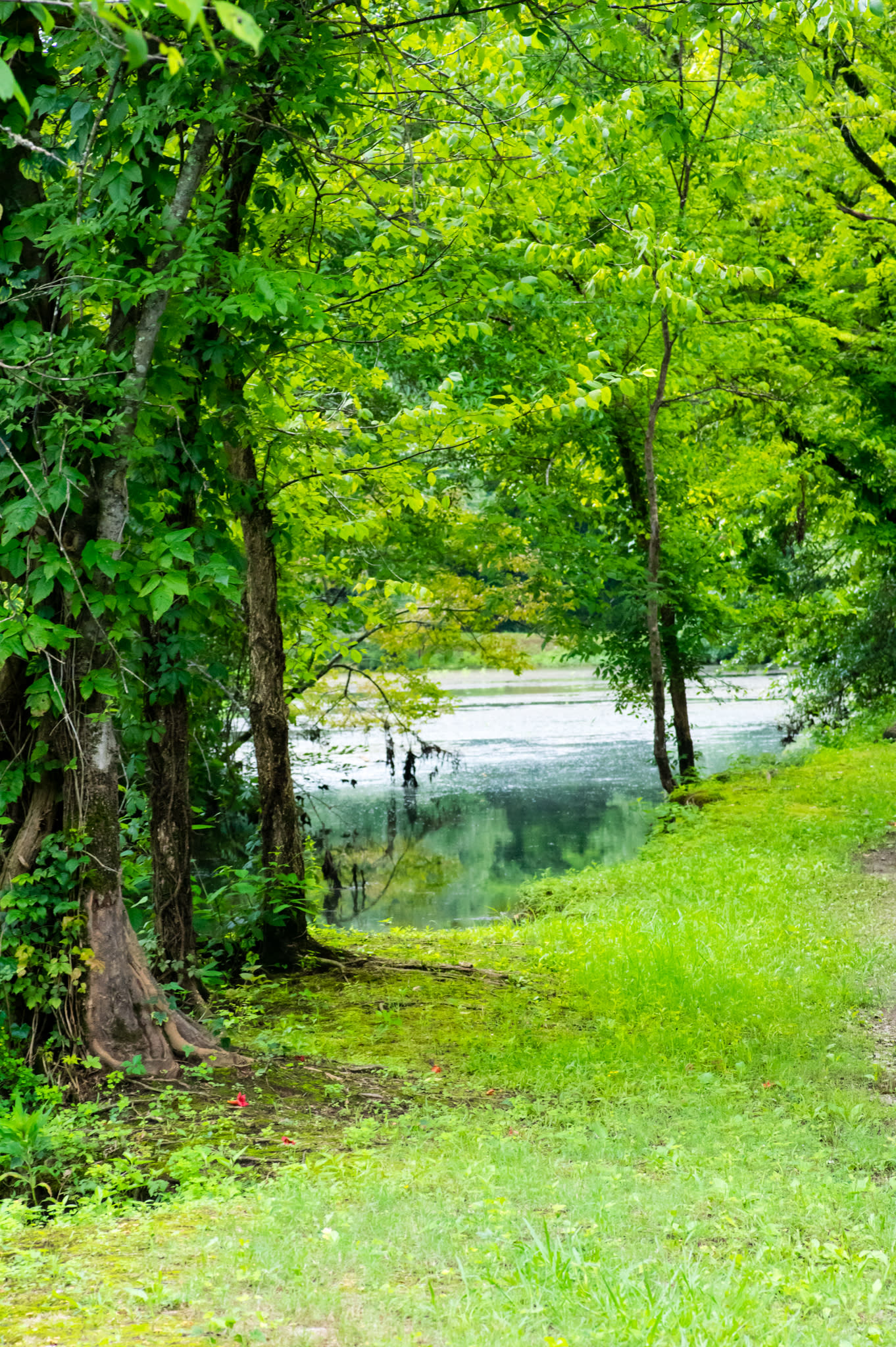 3 Huntsville Outdoor Favorites For Every Type of Nature Lover via iHeartHsv.com