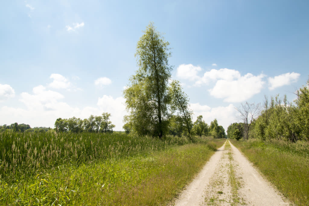 Mascoutin Valley State Trail Oshkosh