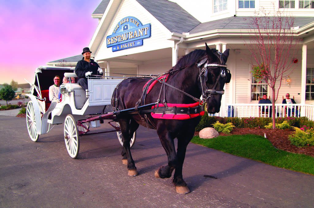 The Blue Gate offers carriage rides among its many products and services that delight visitors to its Shipshewana location.