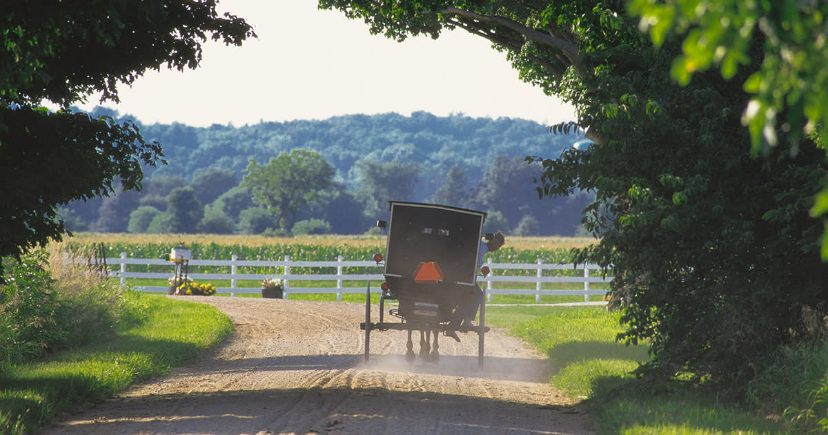 Amish buggie on a dirt road in the Amish country of Elkhart County Indiana