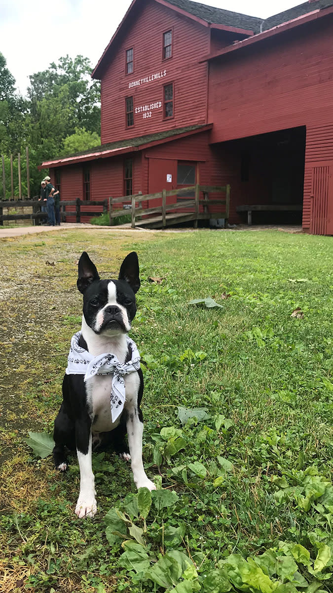 Bonneyville Mill Vito